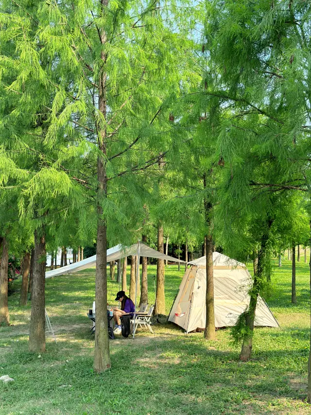 佛山4個露營地攻略