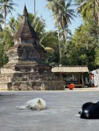 Explore the Hidden Temples of Luang Prabang