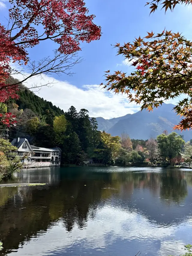 5 Days in Japan: A Detailed Itinerary with No Backtracking