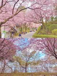 川口市：東京旁的隱秘逸境