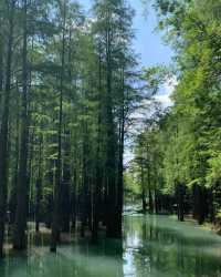 五桂山自然風景區，邂逅人間仙境