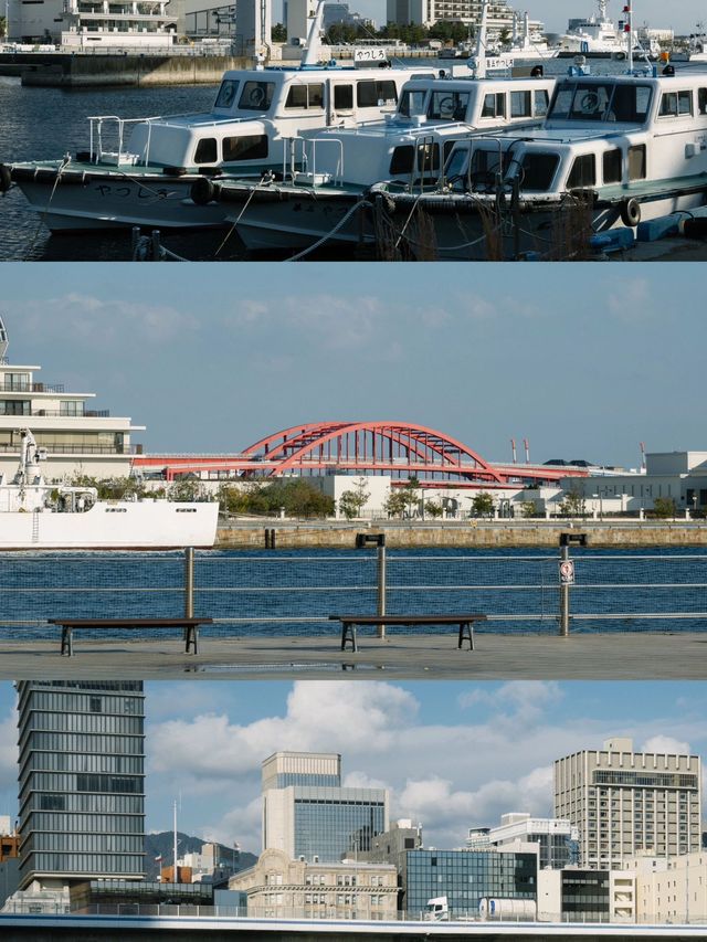 拒絕去日本 長者旅行均感震撼