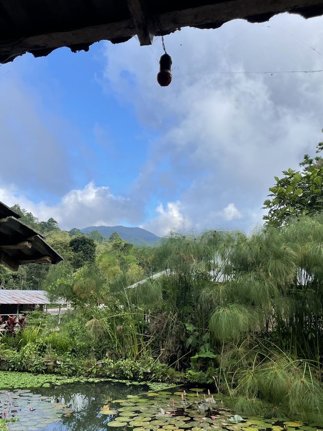 印度尼西亞5日遊 這就是你想要的全攻略