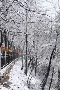 快恭喜我，廬山追雪成功啦