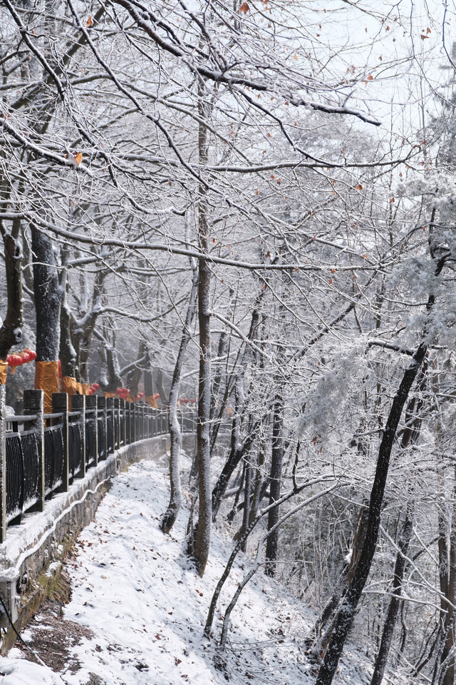 快恭喜我，廬山追雪成功啦