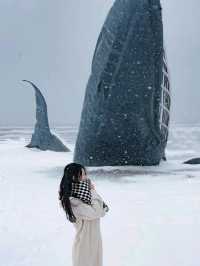 Captured the Solitude of an Ice-Bound Whale in Yantia 