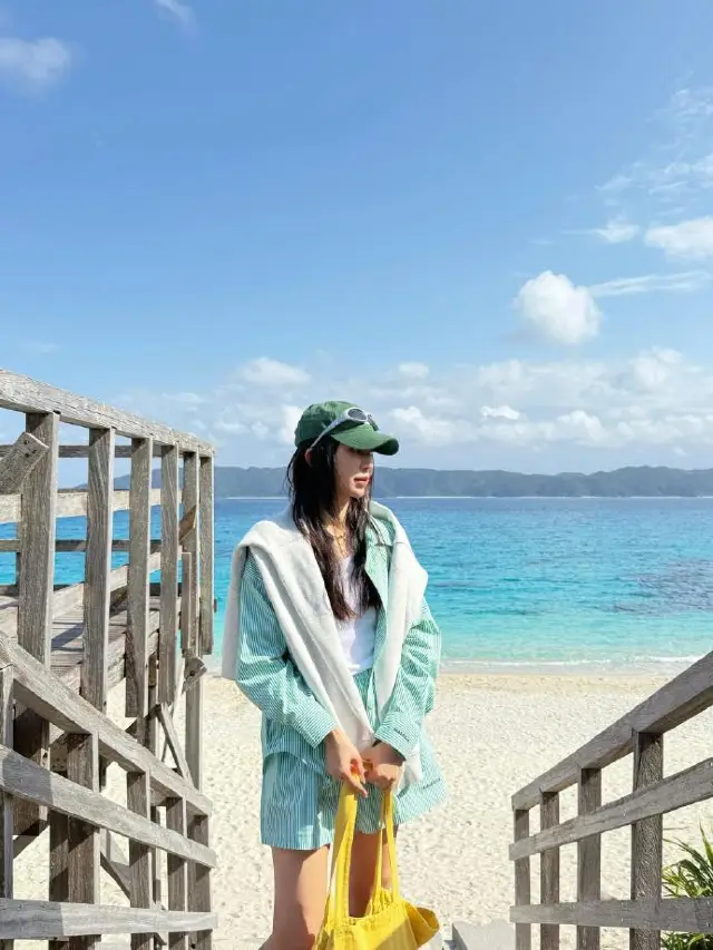 ทริปชมวาฬที่โอกินาว่า