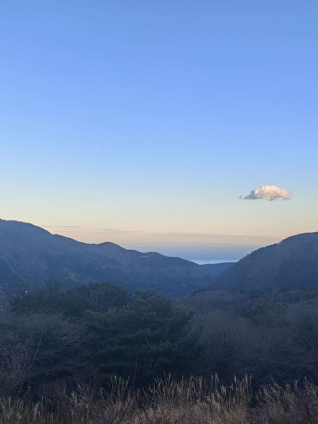 冬日限定日本3日遊必玩指南