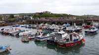 ### 英國福克斯通（Folkestone）旅遊攻略