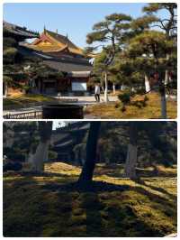 杭州東海禪寺：別具一格的園林禪寺