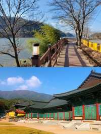 金泉市｜韓國小眾寶藏旅行地