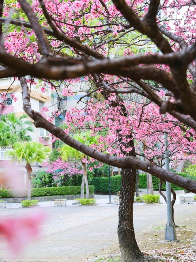 台北