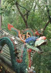 白岩公園：又打卡一個新地點。