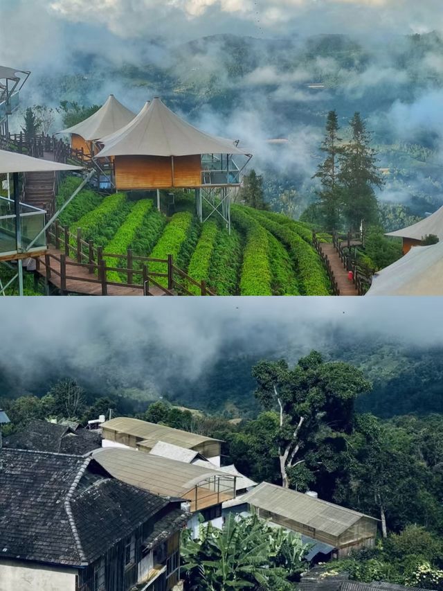 雲南普洱，四季皆宜嘅旅行地。