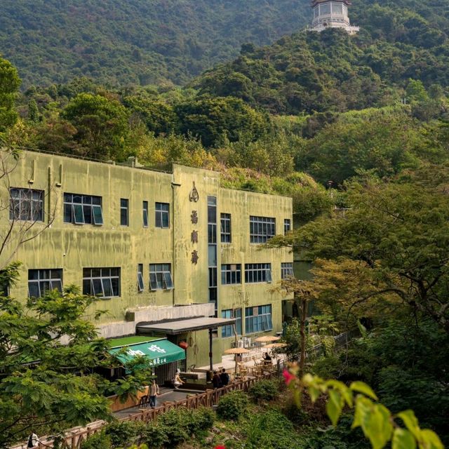 深圳週末限定 | 羅湖區的逛玩寶藏清單🎁