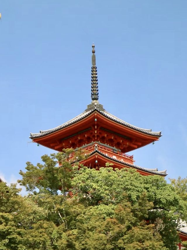 春日限定！奈良櫻花與小鹿的神仙同框攻略
