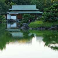 東京·清澄庭園 ：走過清澄白河的日式浪漫💕