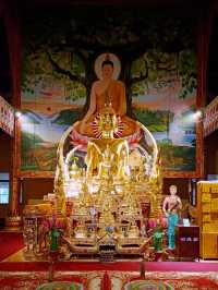 Catching Vibrant Vibes of Xishuangbanna: 7 Day Travel Itinerary