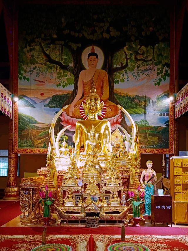 Catching Vibrant Vibes of Xishuangbanna: 7 Day Travel Itinerary