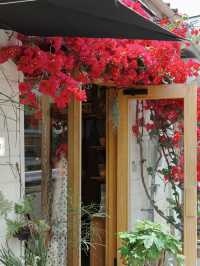 福岡探店 | 邂逅福岡今年最美咖啡店，愛了愛了🌺