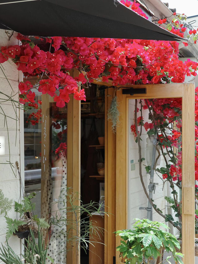 福岡探店 | 邂逅福岡今年最美咖啡店，愛了愛了🌺