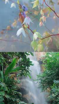 昆明植物園｜我不允許還有人沒去過。