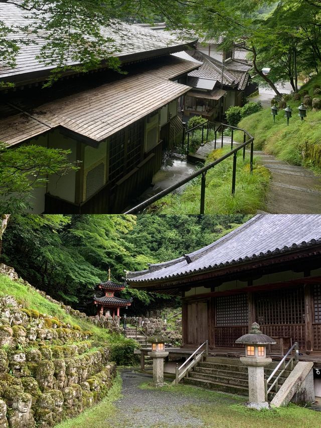 遍地表情包，這大概是京都最可愛的寺廟！