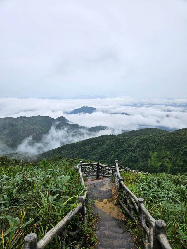 風車在風中悠悠轉動