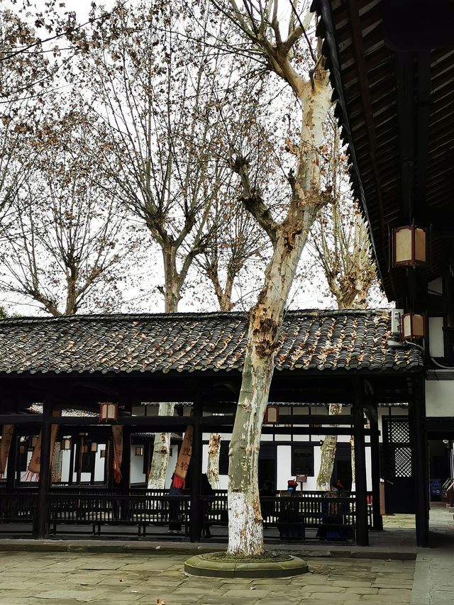 閬中古城一日速覽，這幾個地方必去