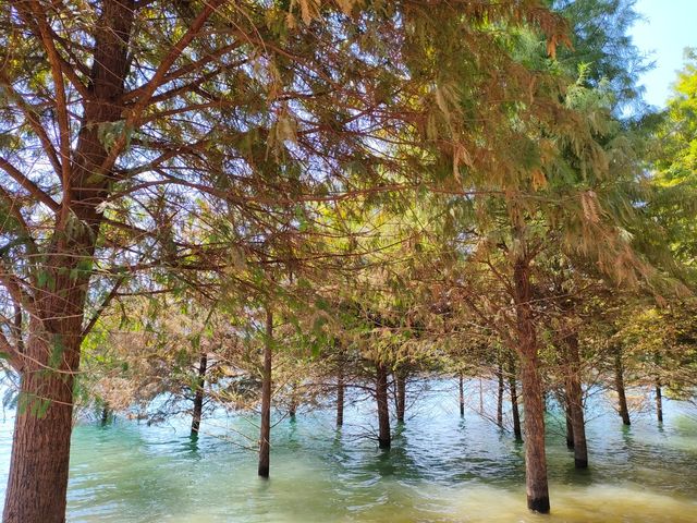 白廊｜免費暢玩的「小洱海」，美哭了