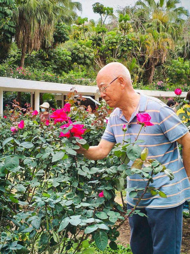 Roses are red, that means i Love You! ❤️🌹