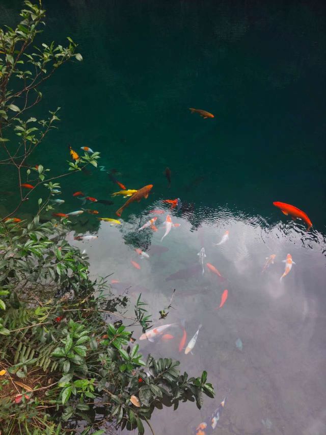 大奇山 | 杭州周邊週末，一場治癒身心的徒步吸氧之旅