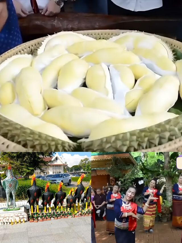 泰國程逸