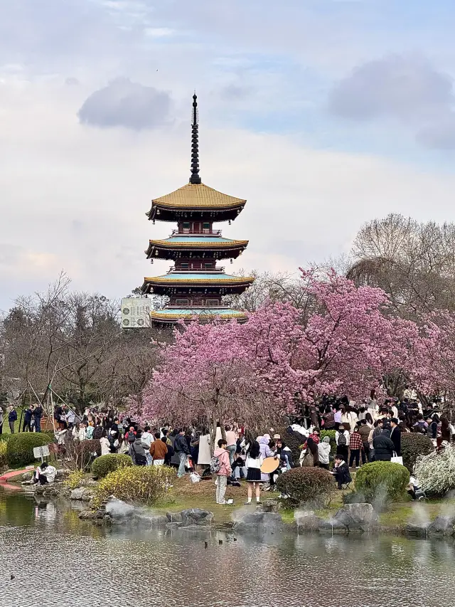 우한 2박 3일 여행 가이드｜현지인의 숨겨진 루트! 길 헤매지 않고 먹고 찍는 완벽 가이드