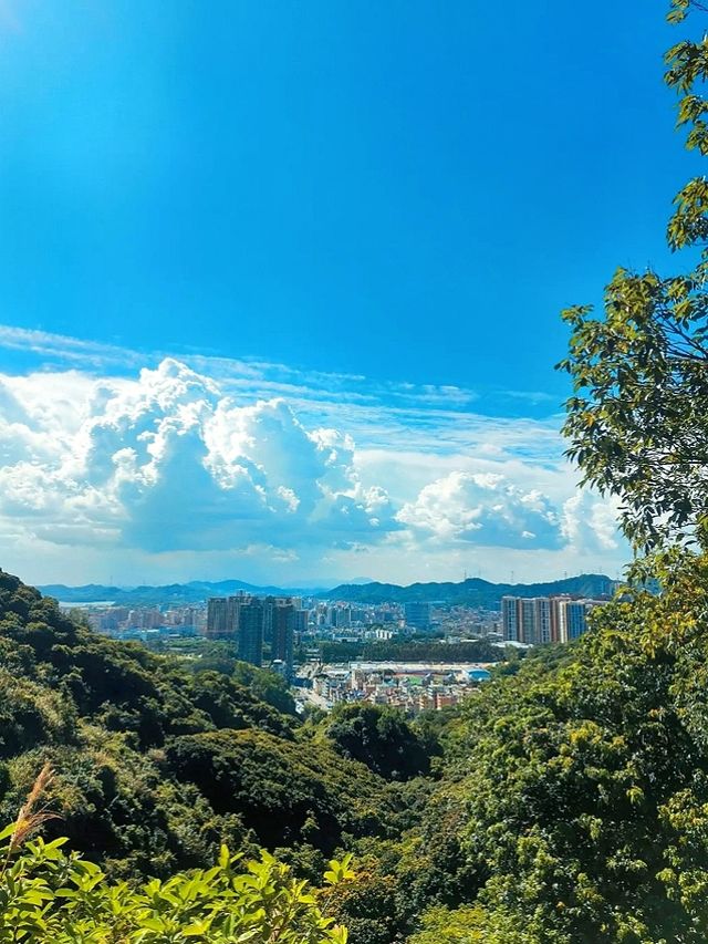 深圳陽臺山森林公園 | 城市中的自然寶藏