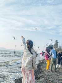 撈魚河濕地公園絕美日落