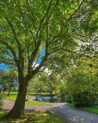 英國阿伯丁 | 戴西公園——城市中的寧靜綠洲