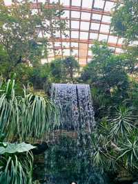 太原植物園｜週末好去處