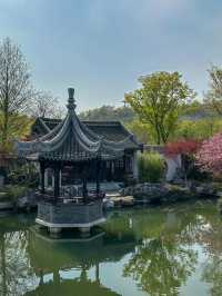 南京地鐵4號線直達，春花美到破防！