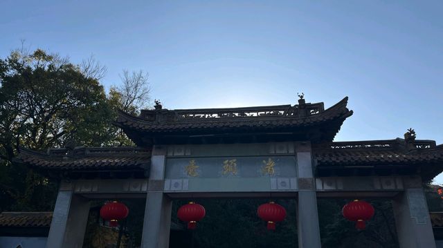 黿頭渚2025年最新攻略