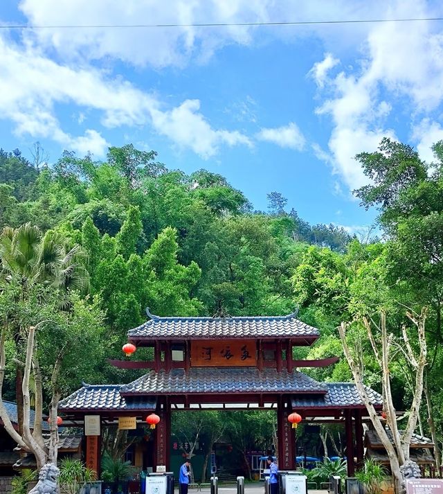 金色花海與喀斯特奇特景觀之旅