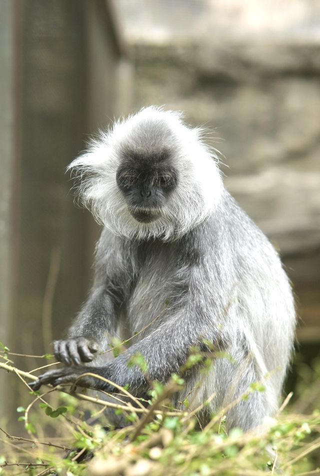 南寧day ｜動物園遊記