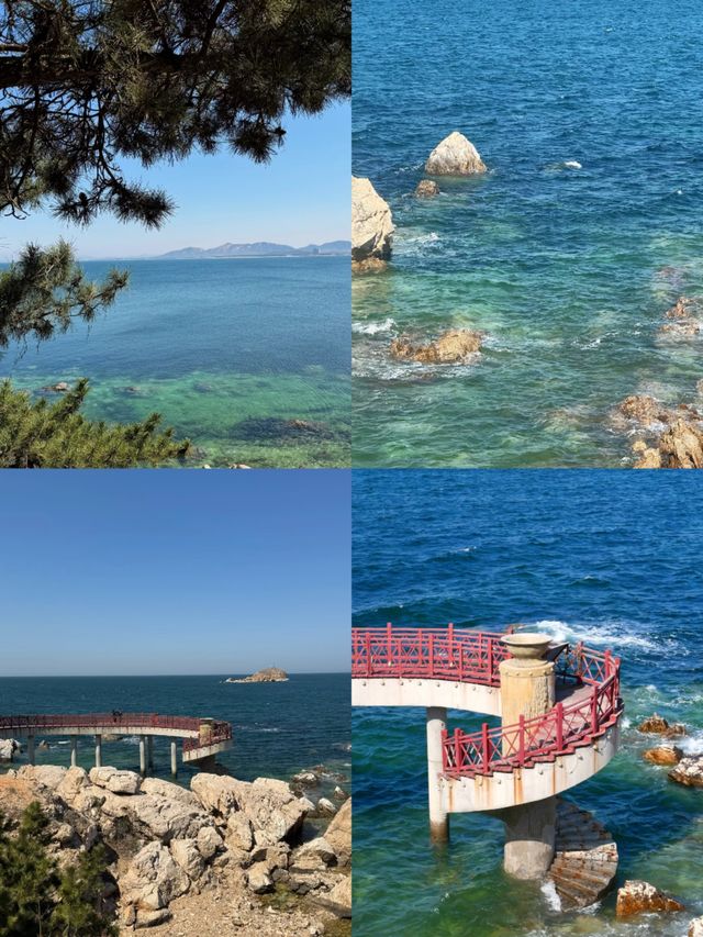 煙台養馬島2天1夜攻略｜小眾海島天花板！