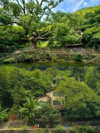 山前山後都是風景，有風無風都很自由——馬嶺古道