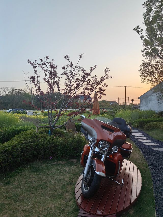 稻田裡的咖啡屋