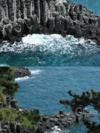 這真的是濟州島？剛回來，攻略放這了
