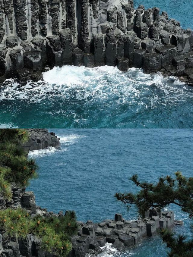 這真的是濟州島？剛回來，攻略放這了