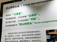 打卡莽山自然博物館