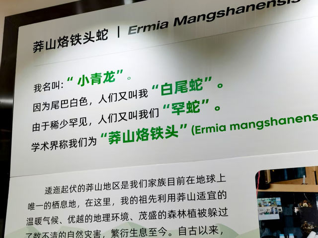 打卡莽山自然博物館