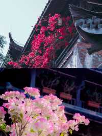 穿越百年時光，邂逅甘坑古鎮